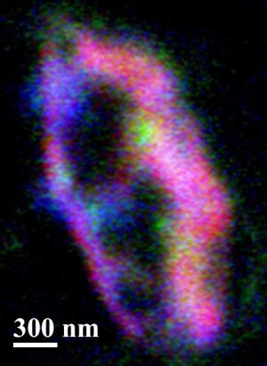 Orion interstellar dust particle composition