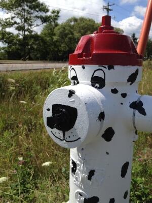 Dalmation hydrant