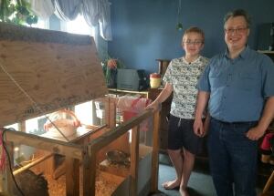 Chicken coop Saskatoon