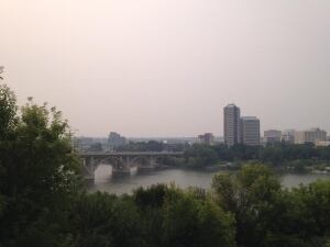 hazy saskatoon