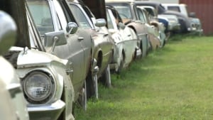car auction spruce grove
