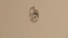 Bullet through drywall in McCarthy Road townhouse
