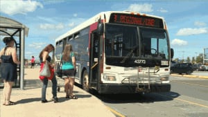 NB-Saint John bus