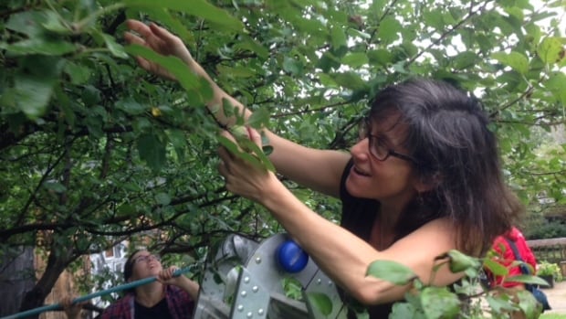 A Sudbury, Ont. non-profit wants to know if locally grown produce contains heavy metals