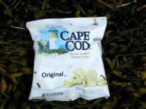 NB-Cape Cod chips