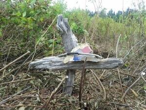 Grand Manan crash cross
