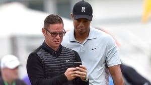 woods-tiger