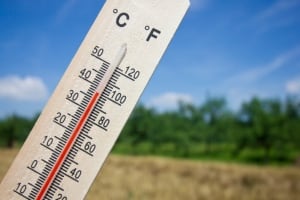 Heat Warning