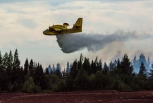 water bomber plane peat fire saint modeste