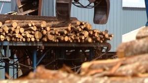 Firewood shortage