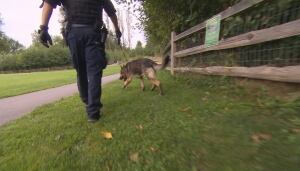 RCMP K9 unit at Robson Park after sexual assault of 9-year-old