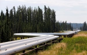 Pipeline boreal forest