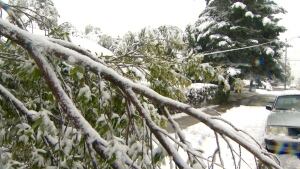 snow
