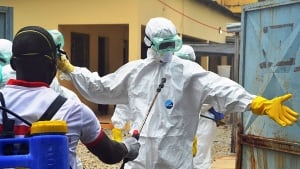 Ebola virus