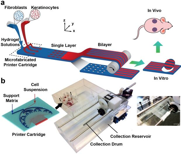 PrintAlive Bioprinter