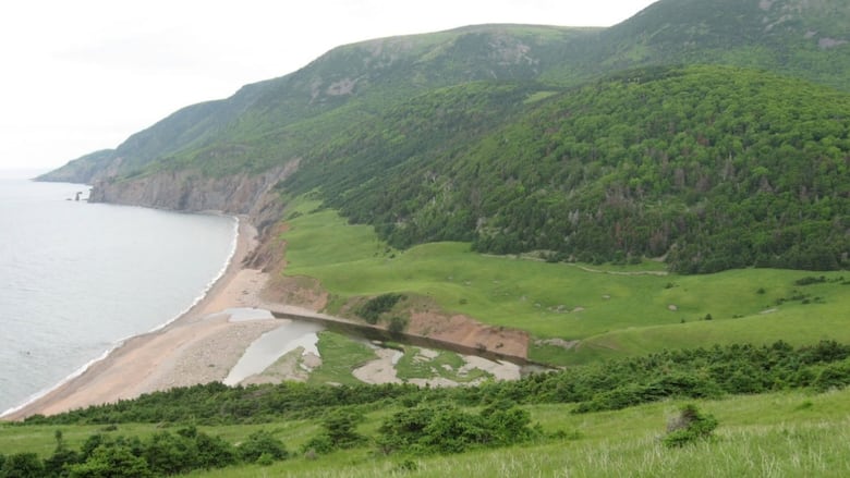 A coastline with green trees is seen