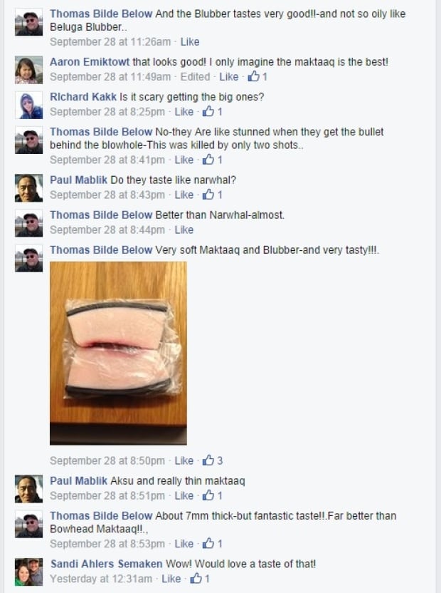Killer whale hunt Facebook comments