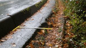 N.W. Marine Drive sidewalk near Spanish Banks