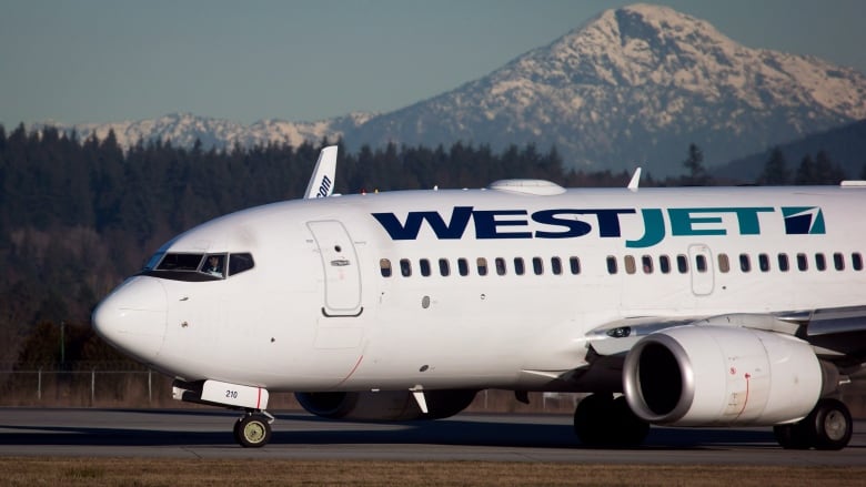 Canada's WestJet to focus on narrowbody fleet, plans fresh aircraft order -  AeroTime