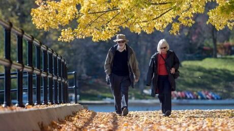 Don Pittis's advice for market mayhem. Stop looking at your portfolio and do something useful. Ottawa Weather 20141012 TOPIX