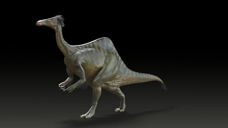 Paleontologists Uncover New Dinosaur With Tiny Arms Like T. Rex