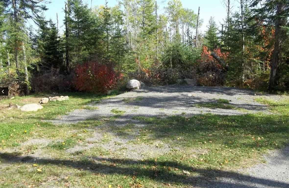 Arrow Lake seasonal camping spots up for grabs CBC News