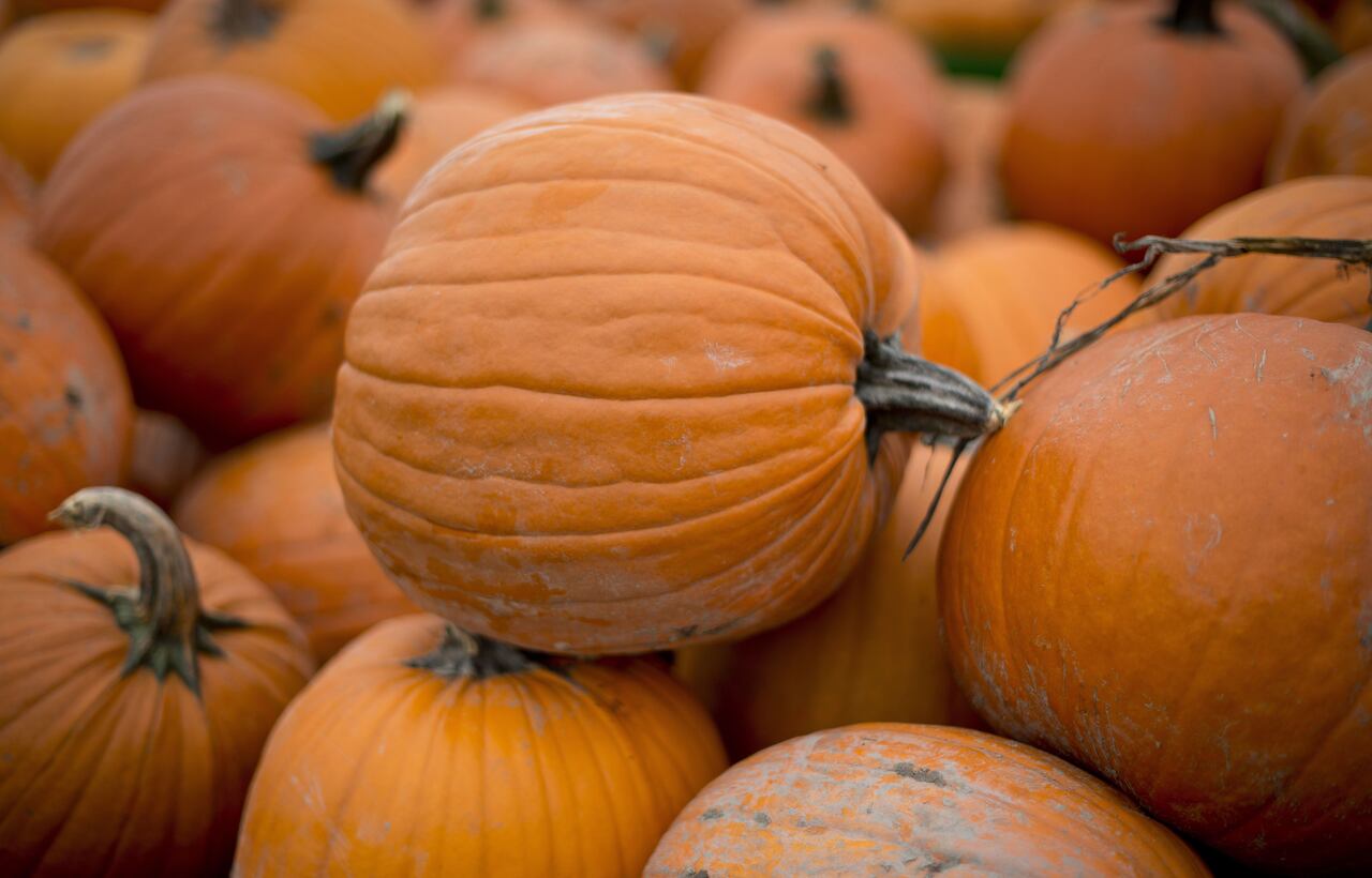 Christmas Music In Stores When Is It Too Early Cbc News