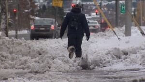 Snow falls in Fredericton