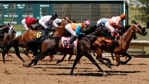 Racetrack Gambling Colorado