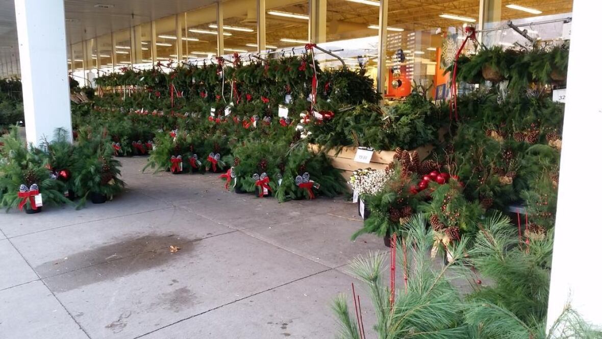 loblaws christmas decorations billingsblessingbags org loblaws christmas decorations billingsblessingbags org