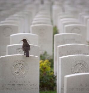 Travel Trip WWI Flanders Fields