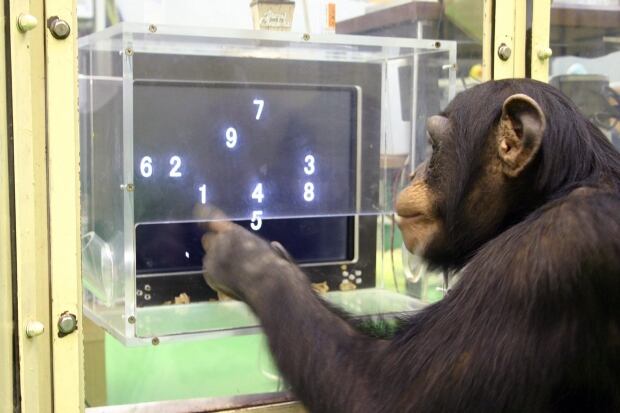 APTOPIX Animal Science