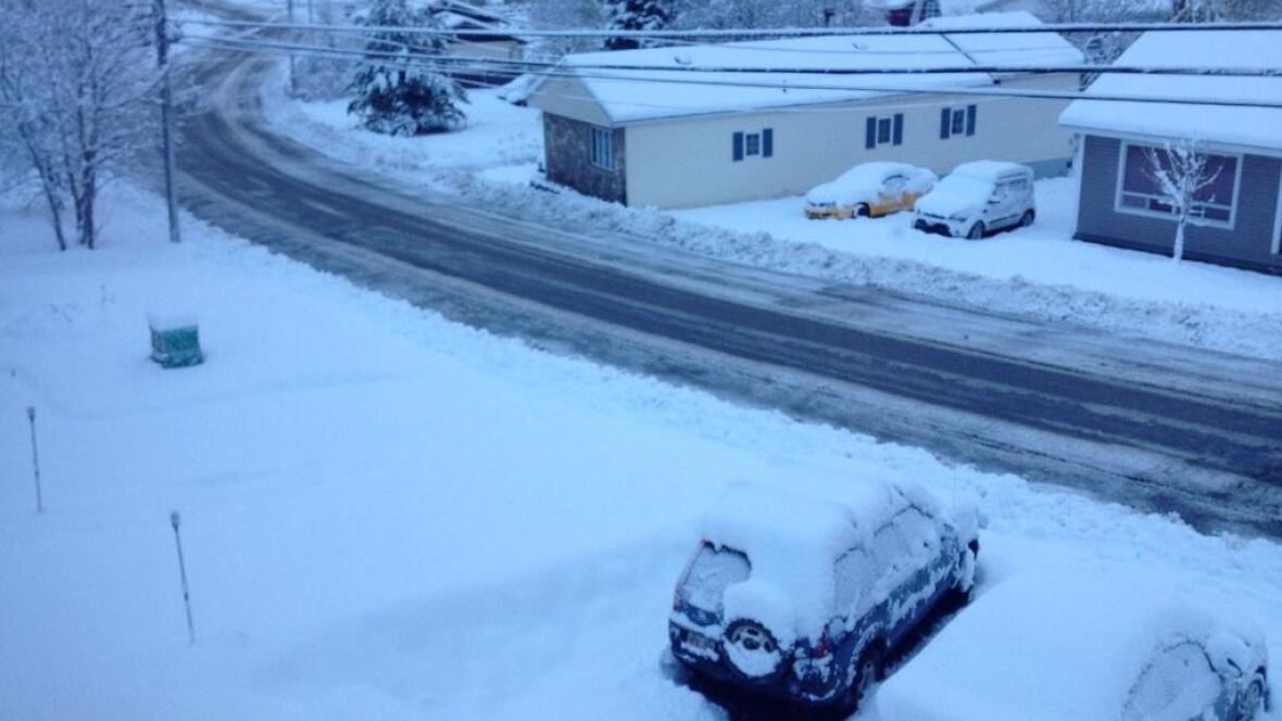 First big snowfall of the season hits western Newfoundland
