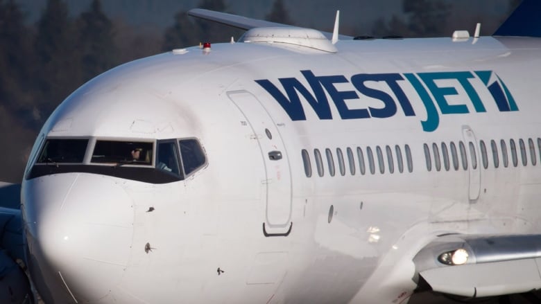 WestJet to offer weekly direct flights to Florida from