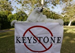 Keystone Pipeline