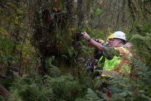 Kinder Morgan Pipeline 20141110