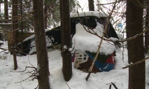 Pollard's Point lean-to shelter for cat colony