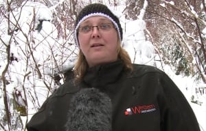 Jocelyn Davis Scaredy Cat Rescue