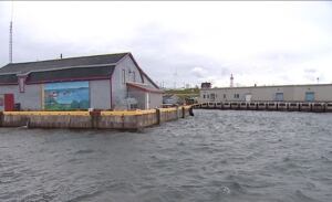 Souris fish plant