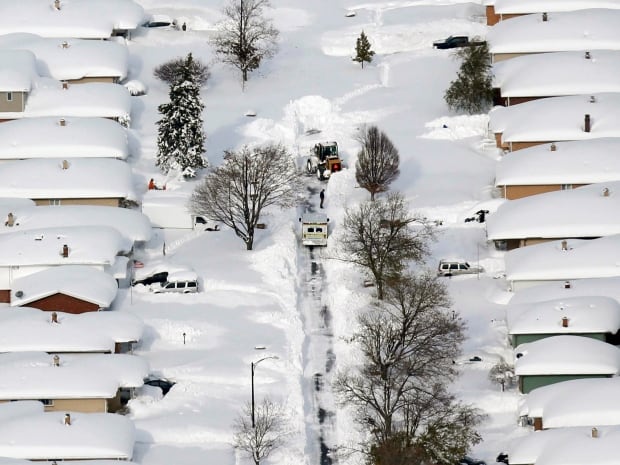 Bulldozer clears a path