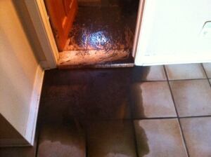Beaconsfield sewage toilet