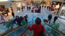 shopping
