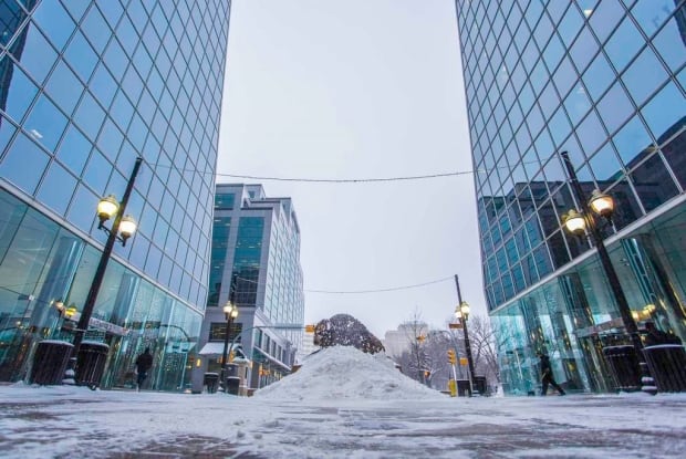 Buffalo mound downtown Regina