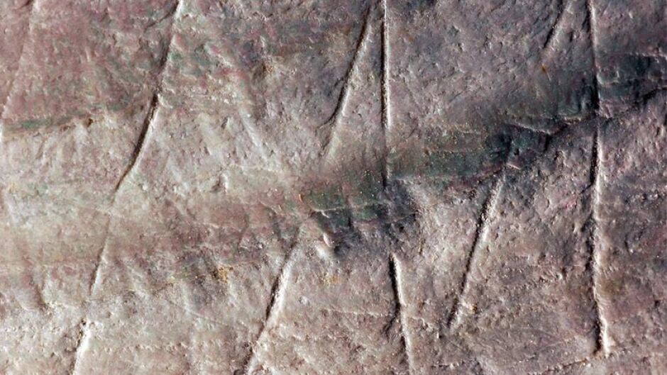 Shell with engraving made by Homo erectus.