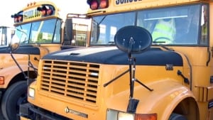 School buses