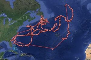Lydia great white shark tracking pattern two years
