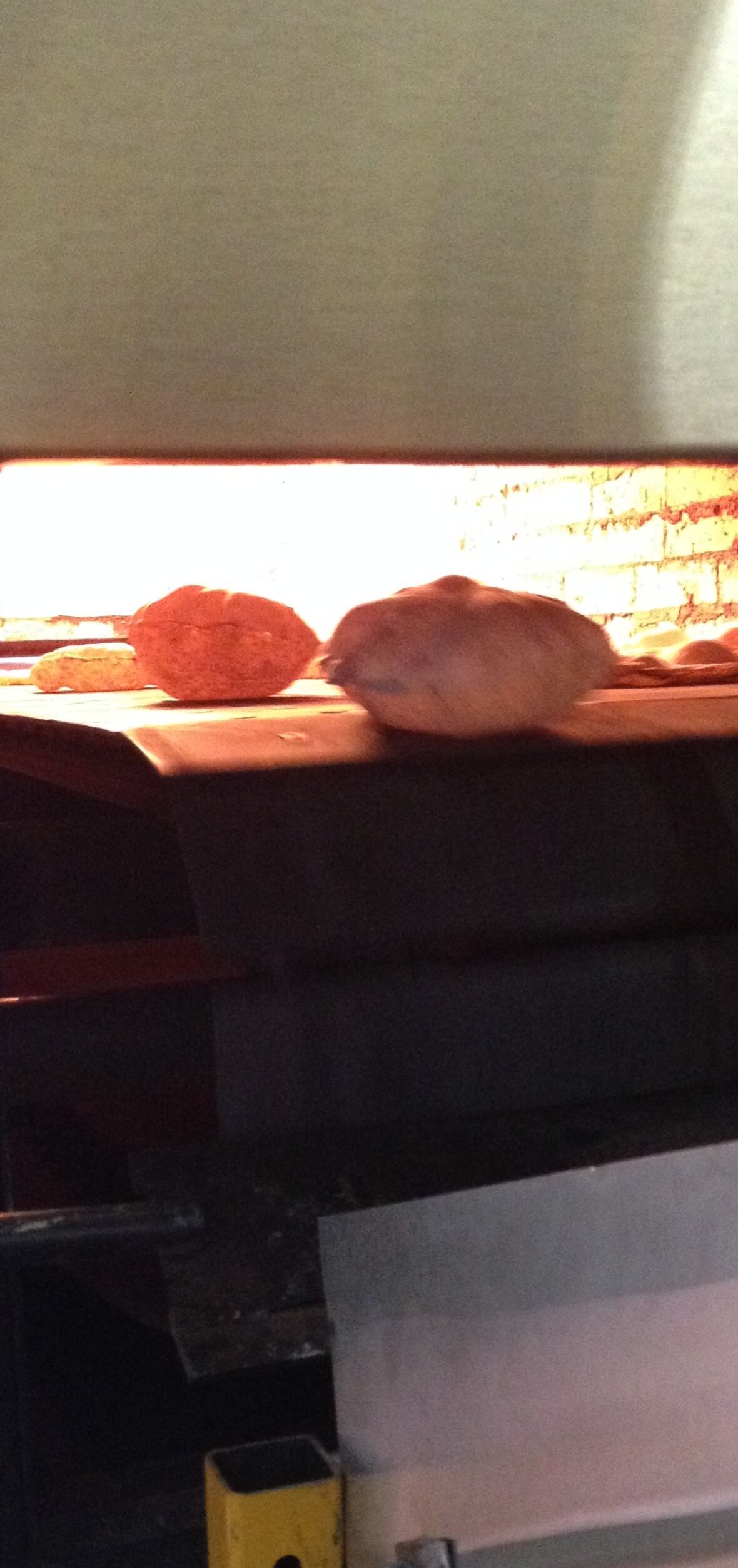 Pita bread company a fresh idea for IranianCanadian man CBC News