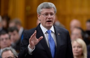 Stephen Harper