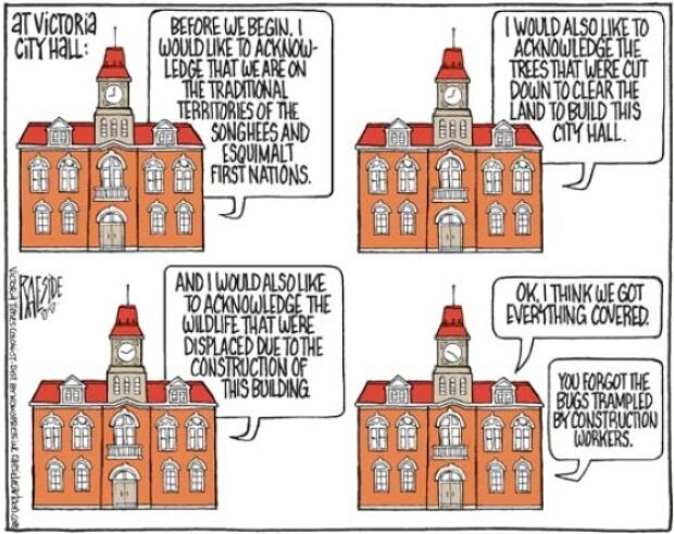 RaesideCartoon
