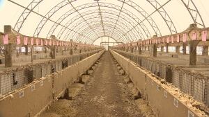 Mink farm